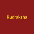 Big Rudraksha Bhai Rakhi