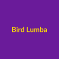 Bird And Potali Lumba Bhabhi Rakhi