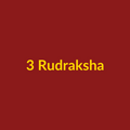 3 Rudraksha Red Yellow Bhai Rakhi